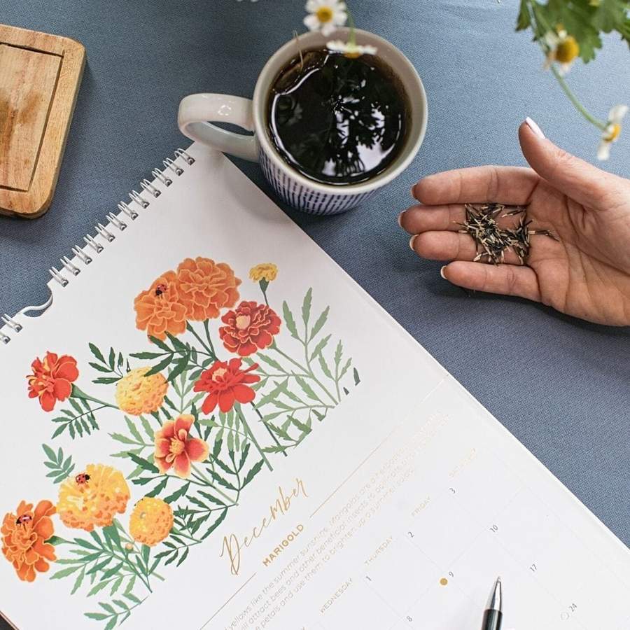 Get organised for 2022 with this cool seed calendar
