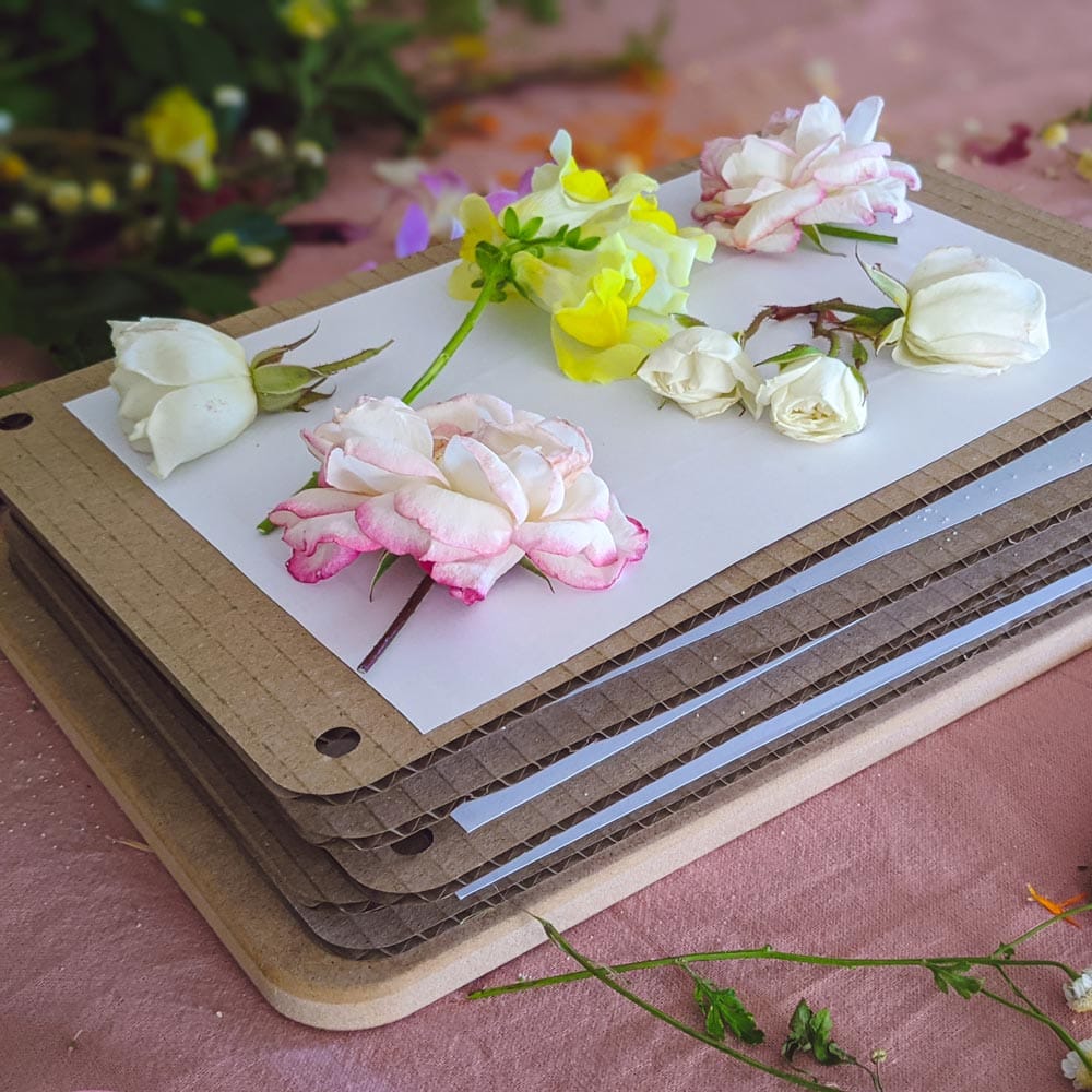 Start a family tradition with a flower press