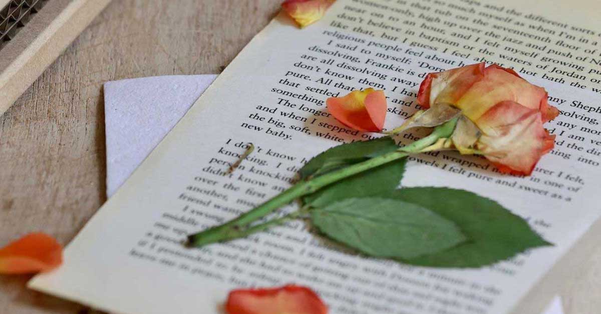Learn How to Press Roses: 3 Easy Ways
