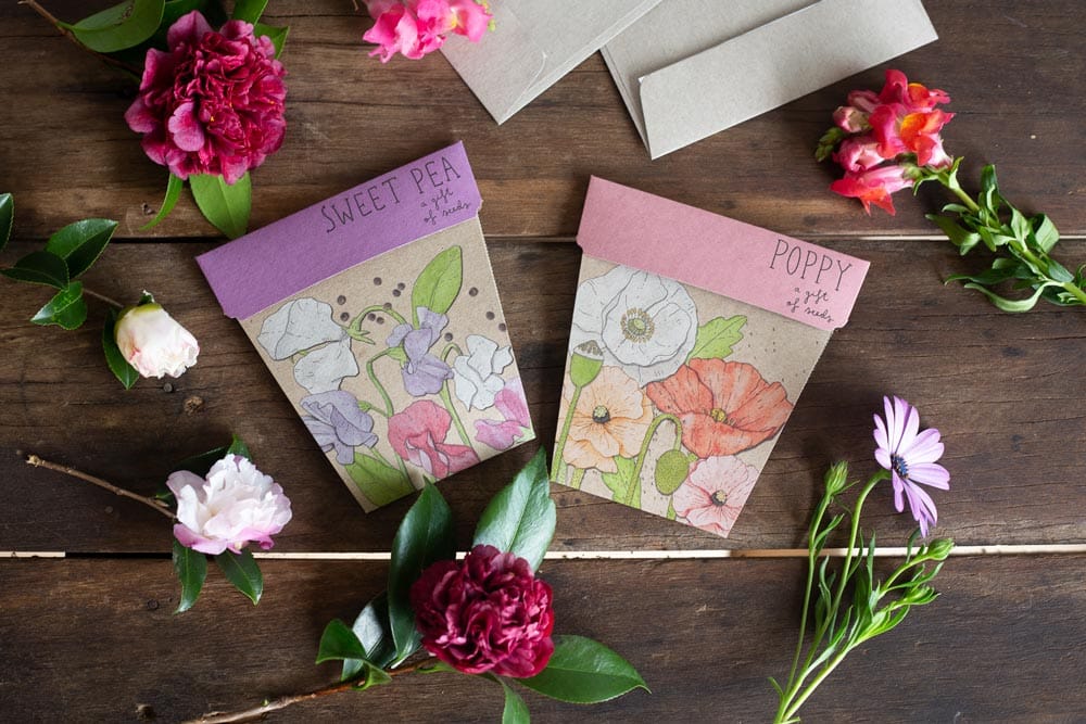 Christmas Delivery Dates