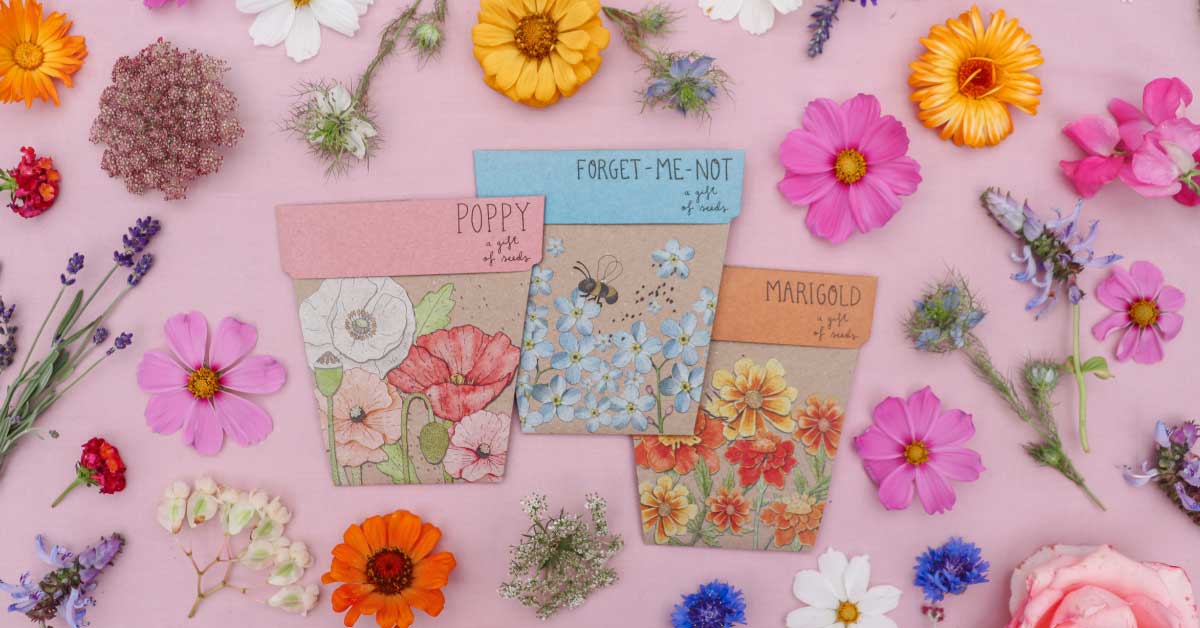 Eco-Friendly Surprises: 20 Sustainable Subscription Gifts for Every Budget