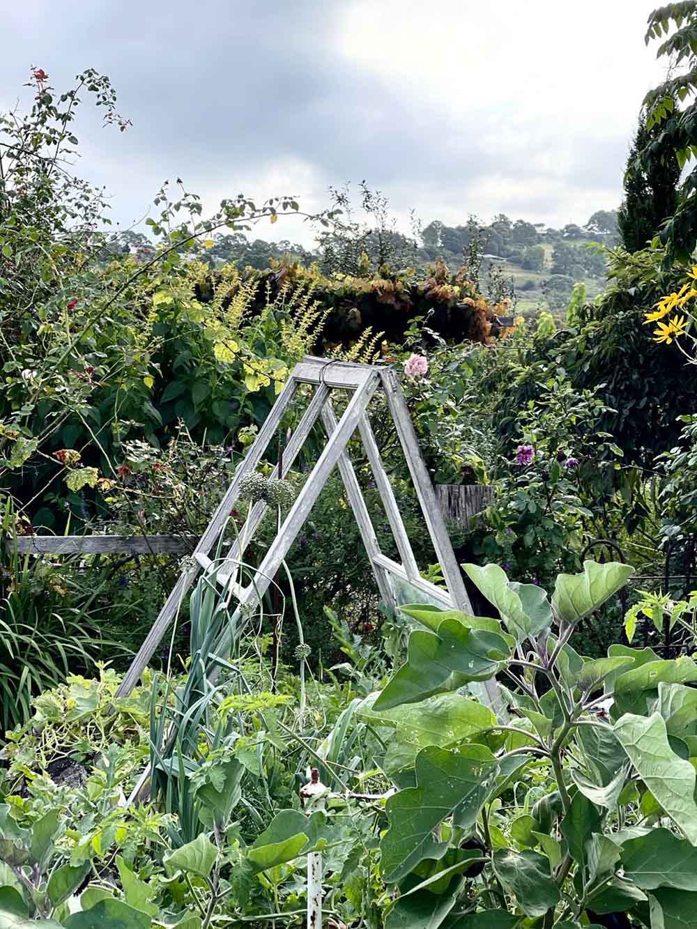 Meandering Through Kim Mak’s Enchanting Garden