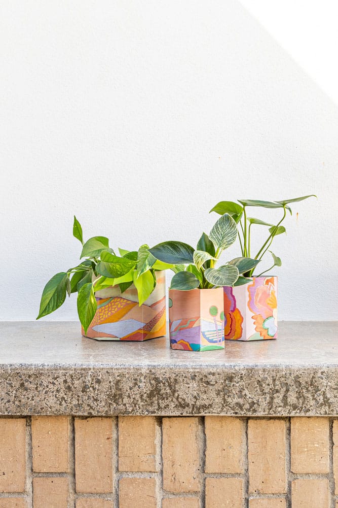 Pop Up Pots