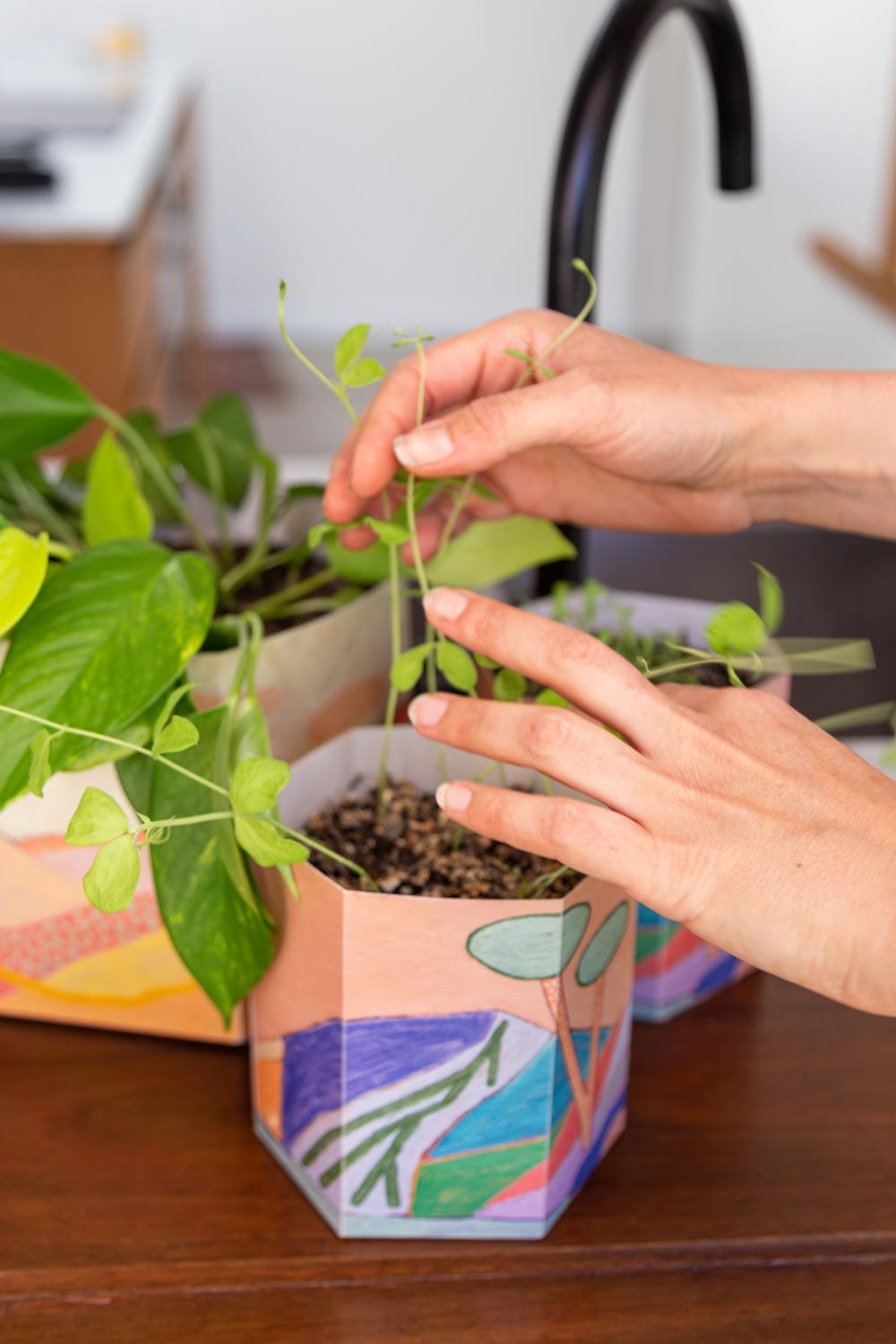 Pop Up Pot 'Yonder' Small (ws) image 6