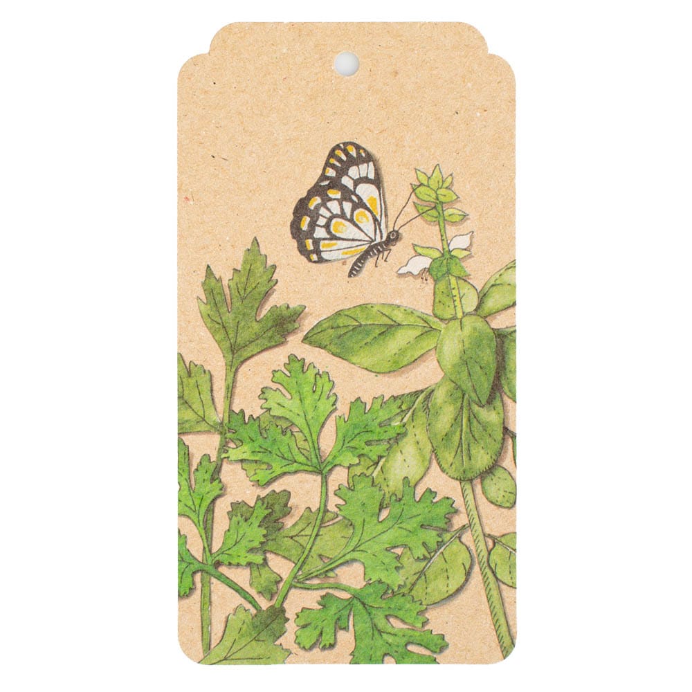 Trio of Herbs Gift Tag 10 Pack image 1