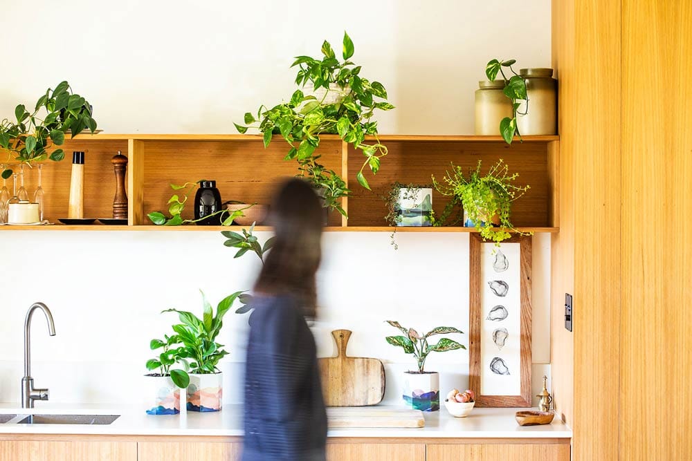 Pop Up Pot 'Mountain' Out of Stock image 5