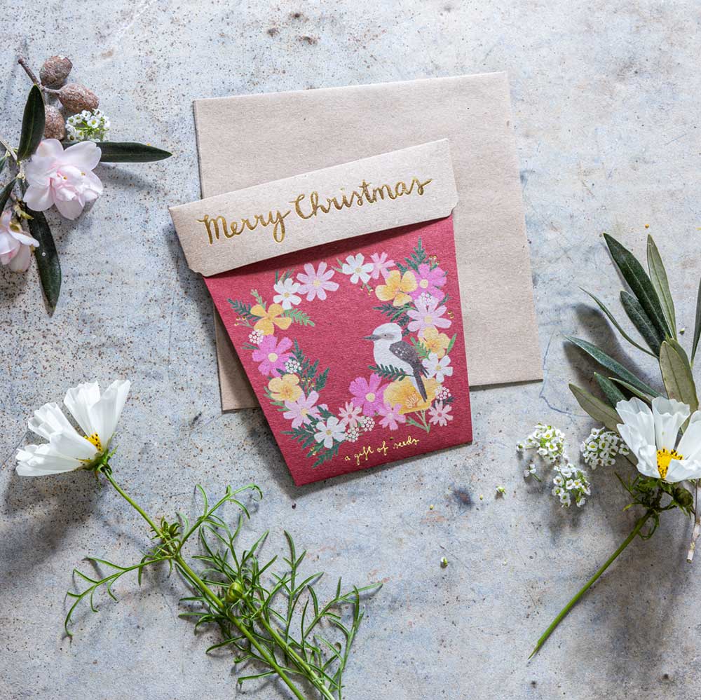 Christmas Wildflowers Gift of Seeds SOLD OUT image 3