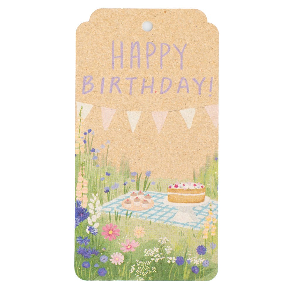 Birthday Picnic Gift Tag 10 Pack image 1