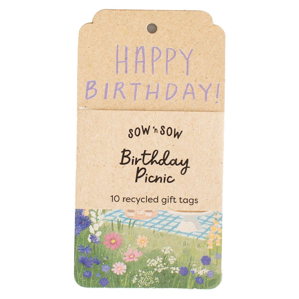 Birthday Picnic Gift Tag 10 Pack image 0