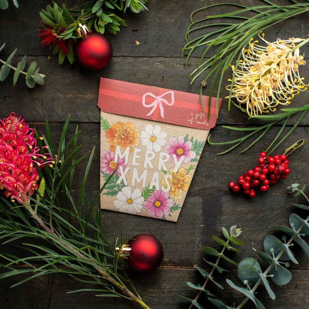 Xmas Blooms Gift of Seeds image 3