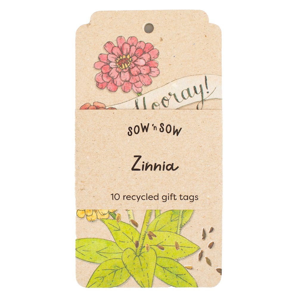 Hooray Zinnia Gift Tag 10 Pack image 0