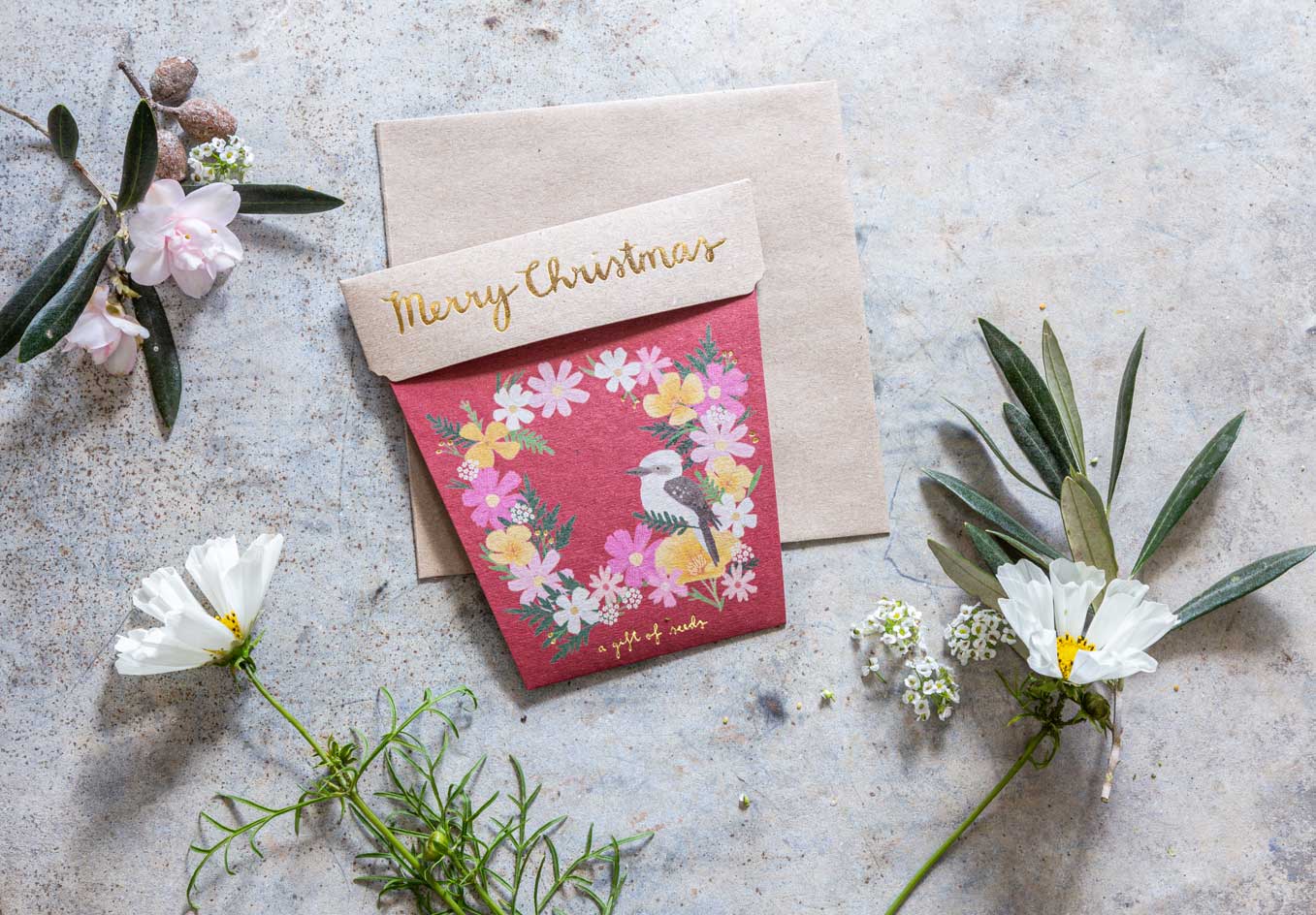 Christmas Wildflowers Seeds Set of 4 image 0