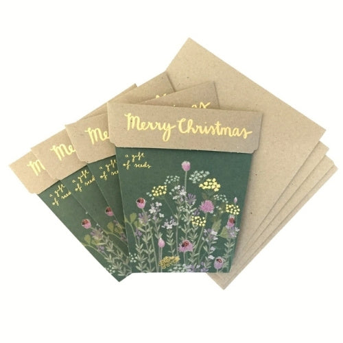 Christmas Herbs Seeds Set of 4 image 6