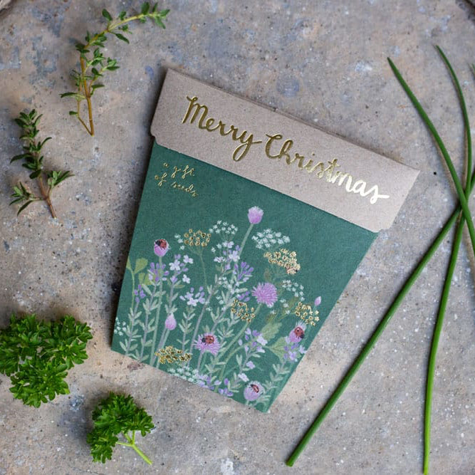 Christmas Herbs Seeds Set of 4 image 0