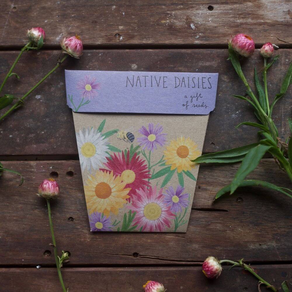 Native Daisies Gift of Seeds image 2