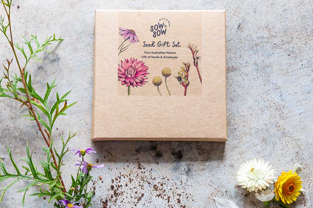 Australian Native Seed Gift Set image 0