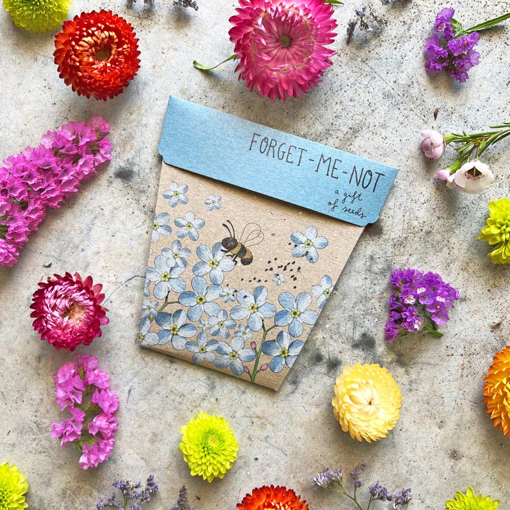 Forget-me-not Gift of Seeds image 3