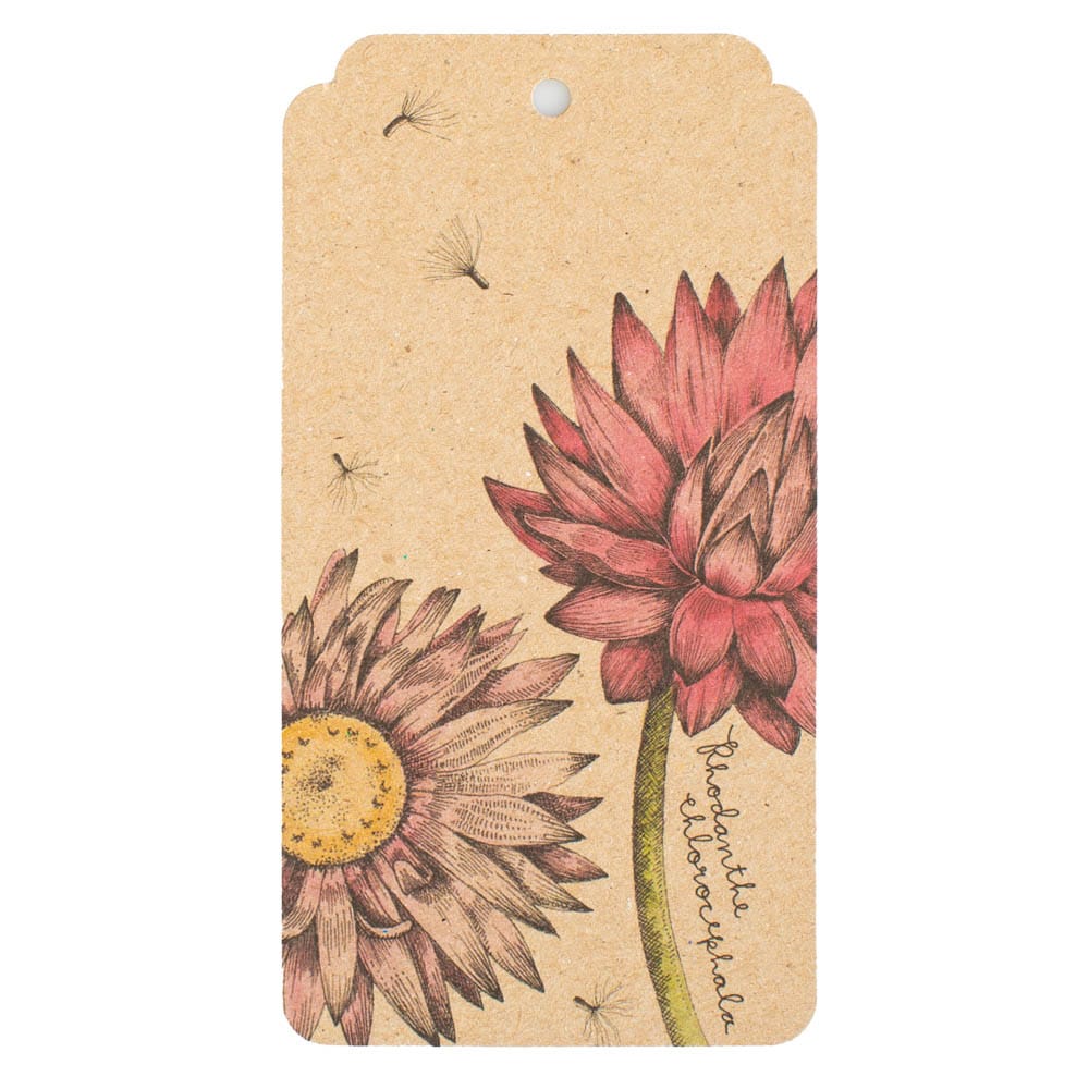 Everlasting Daisy Gift Tag 10 Pack image 1