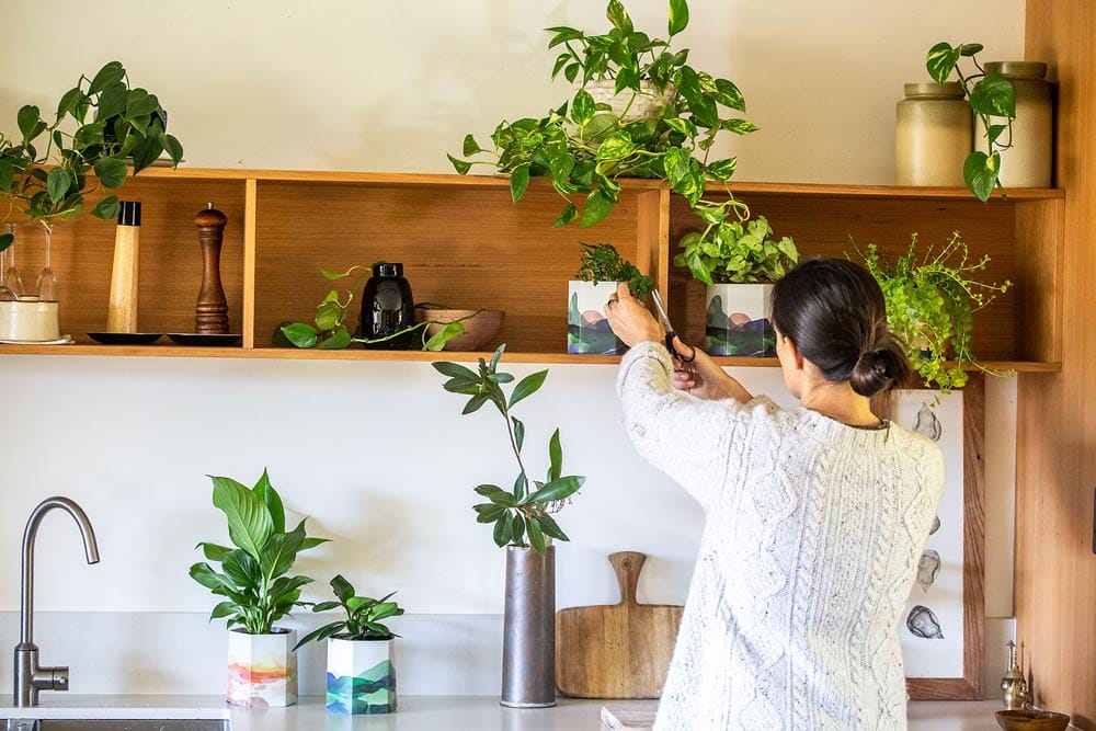 Pop Up Pot 'Mountain' Out of Stock image 6