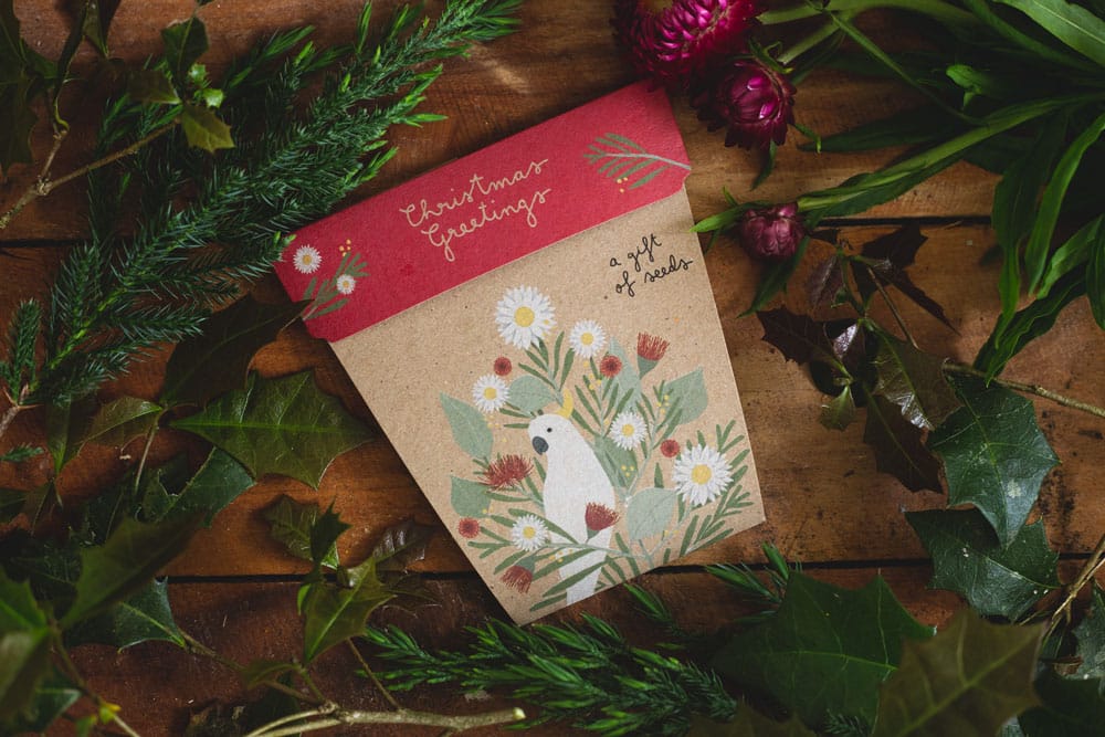 Christmas Gift of Seeds Boxed Set of 4 image 8