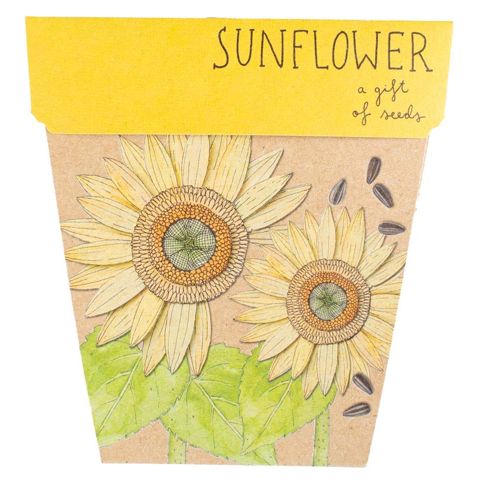 50 Gift of Seed Packs Bulk Buy image 6