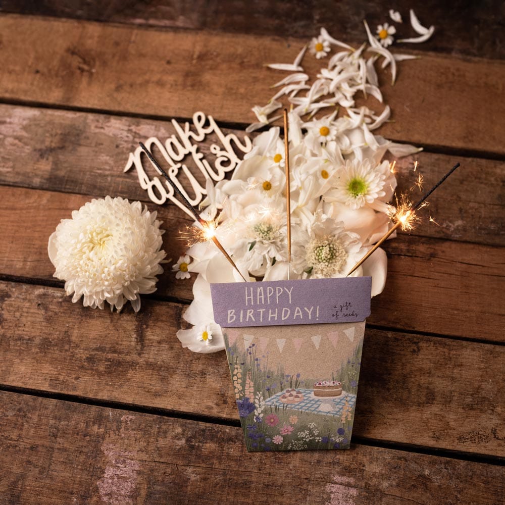 Happy Birthday Picnic Gift of Seeds image 5