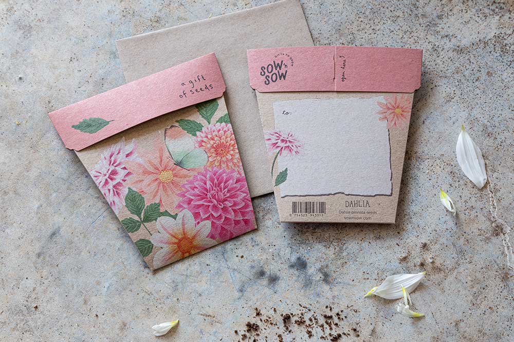 Dahlia Gift of Seeds image 3