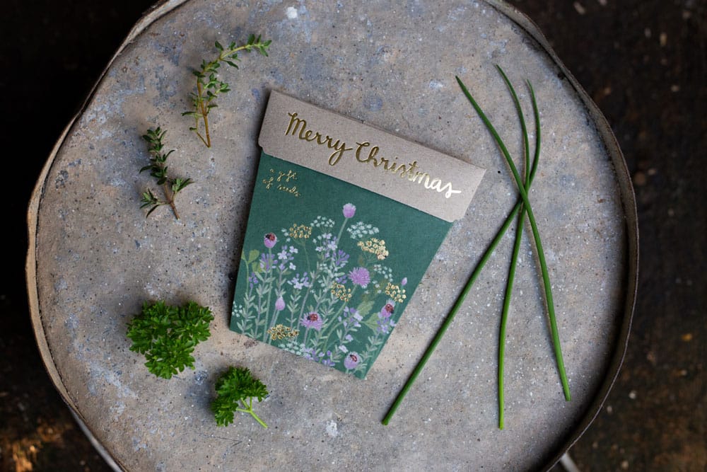Christmas Herbs Gift of Seeds image 4