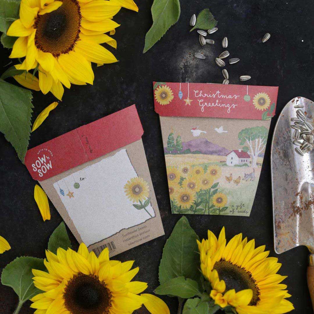 Christmas Gift of Seeds Bundle image 12