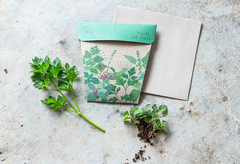 Garden Herbs Gift of Seeds image 2