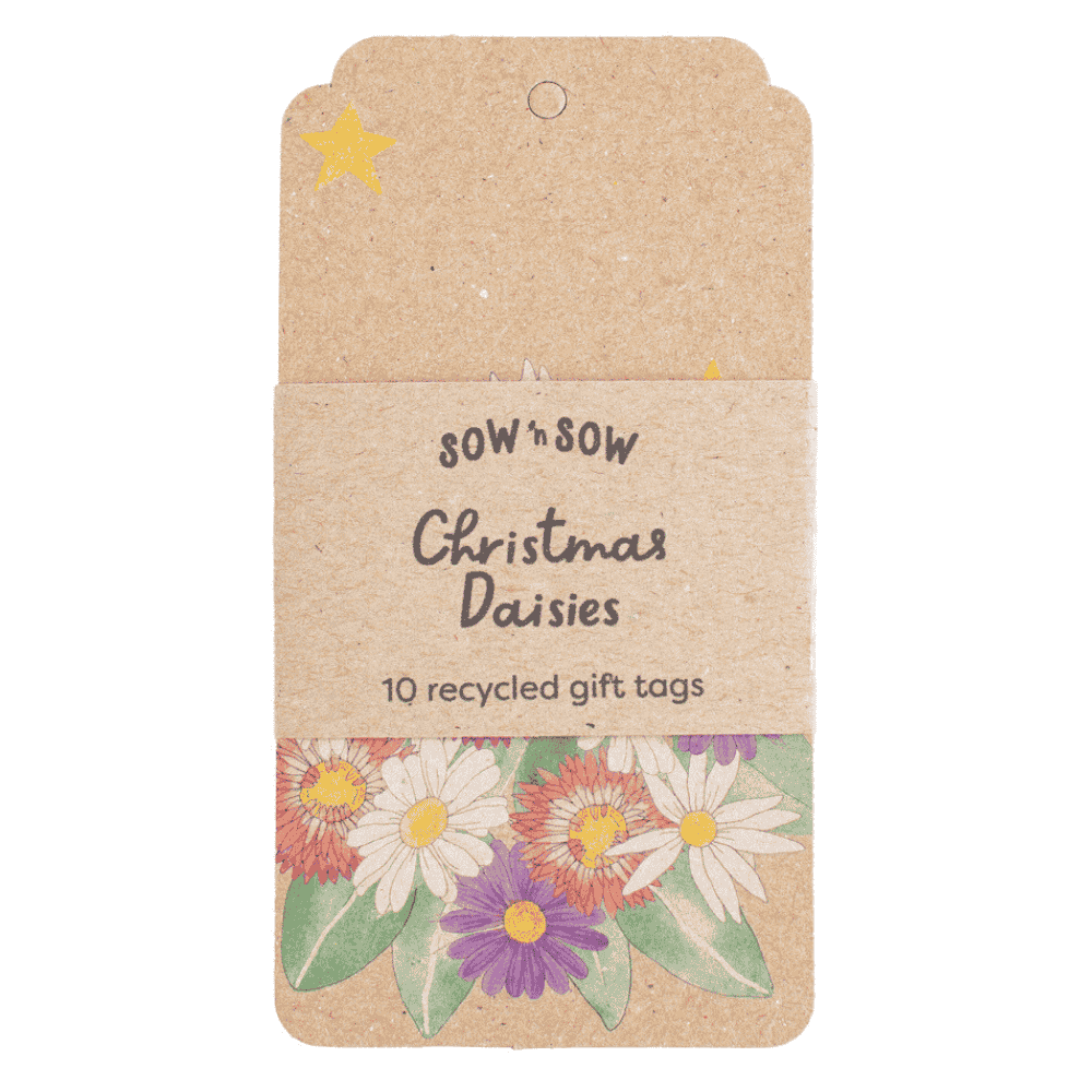 Any 6 Recycled Gift Tag Packs image 6
