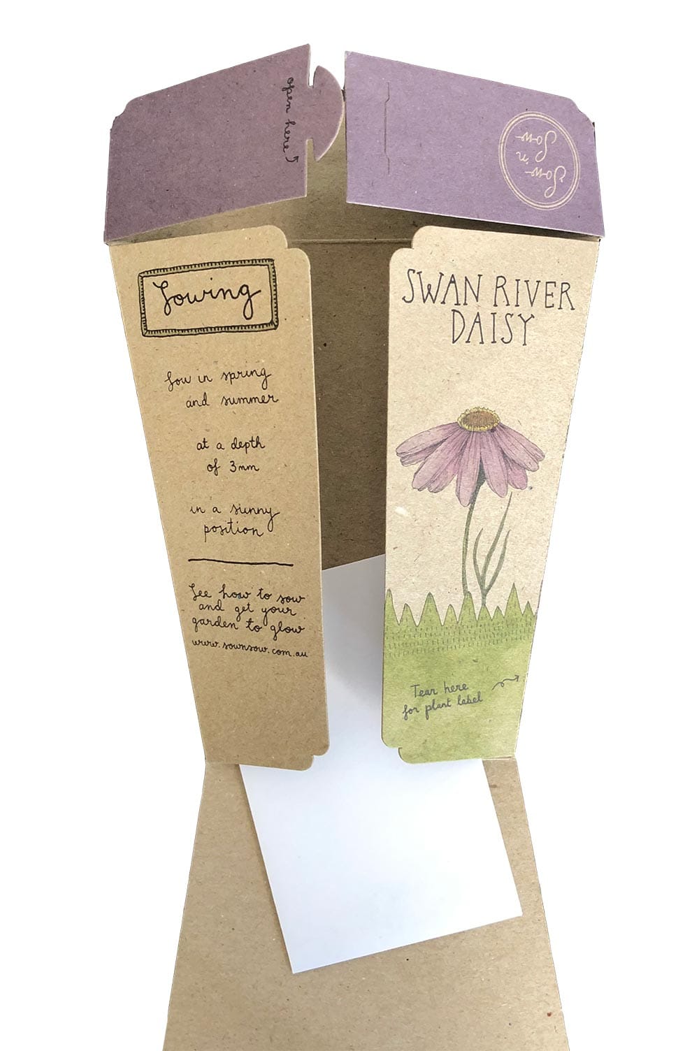 Swan River Daisy Gift of Seeds image 2