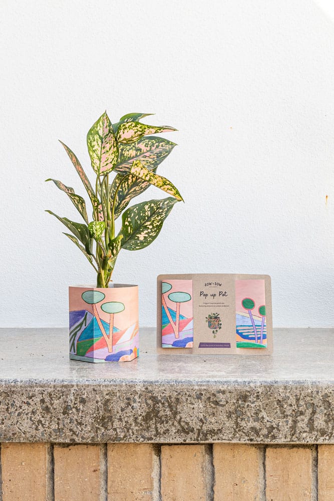 Pop Up Pot 'Yonder' Small - SOLD OUT image 0