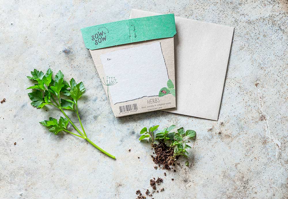 Garden Herbs Gift of Seeds image 3