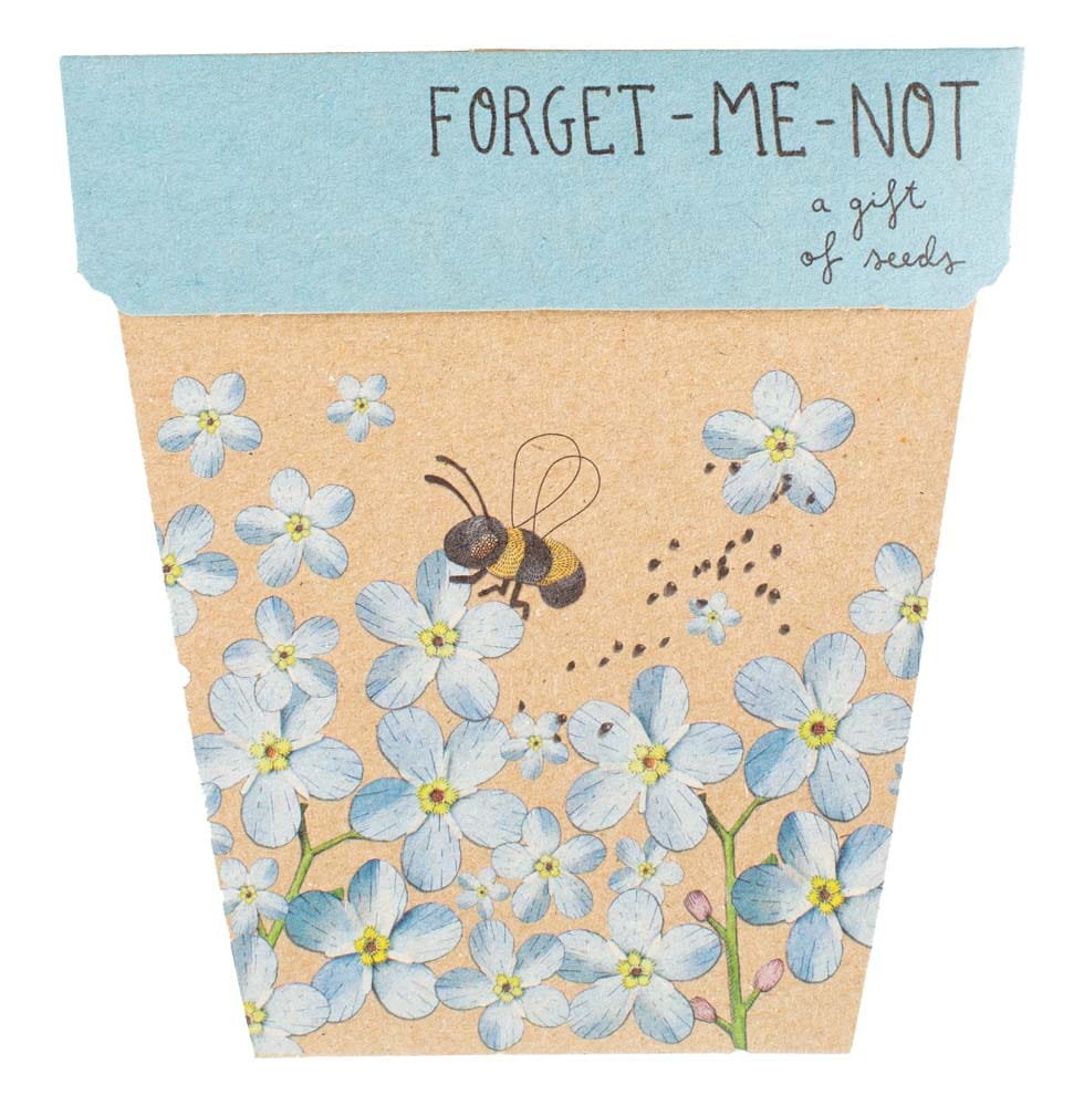 50 Gift of Seed Packs Bulk Buy - Forget-me-not image