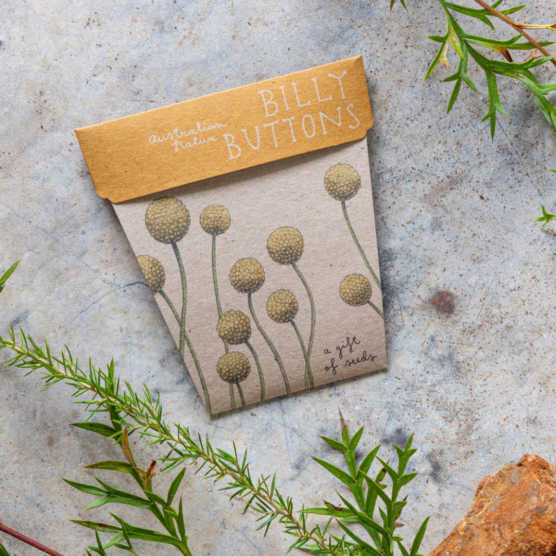 Australian Native Seed Gift Set image 11