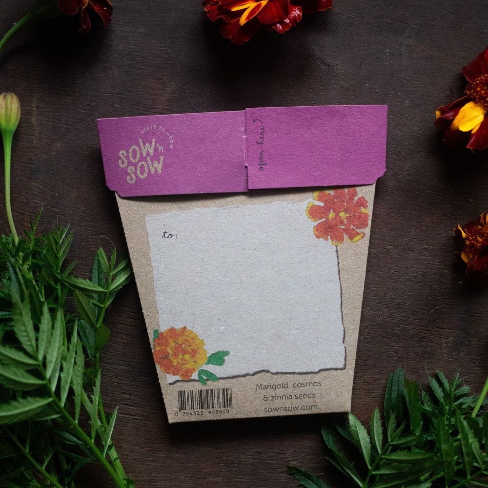 Thanks a Bunch Gift of Seeds image 3