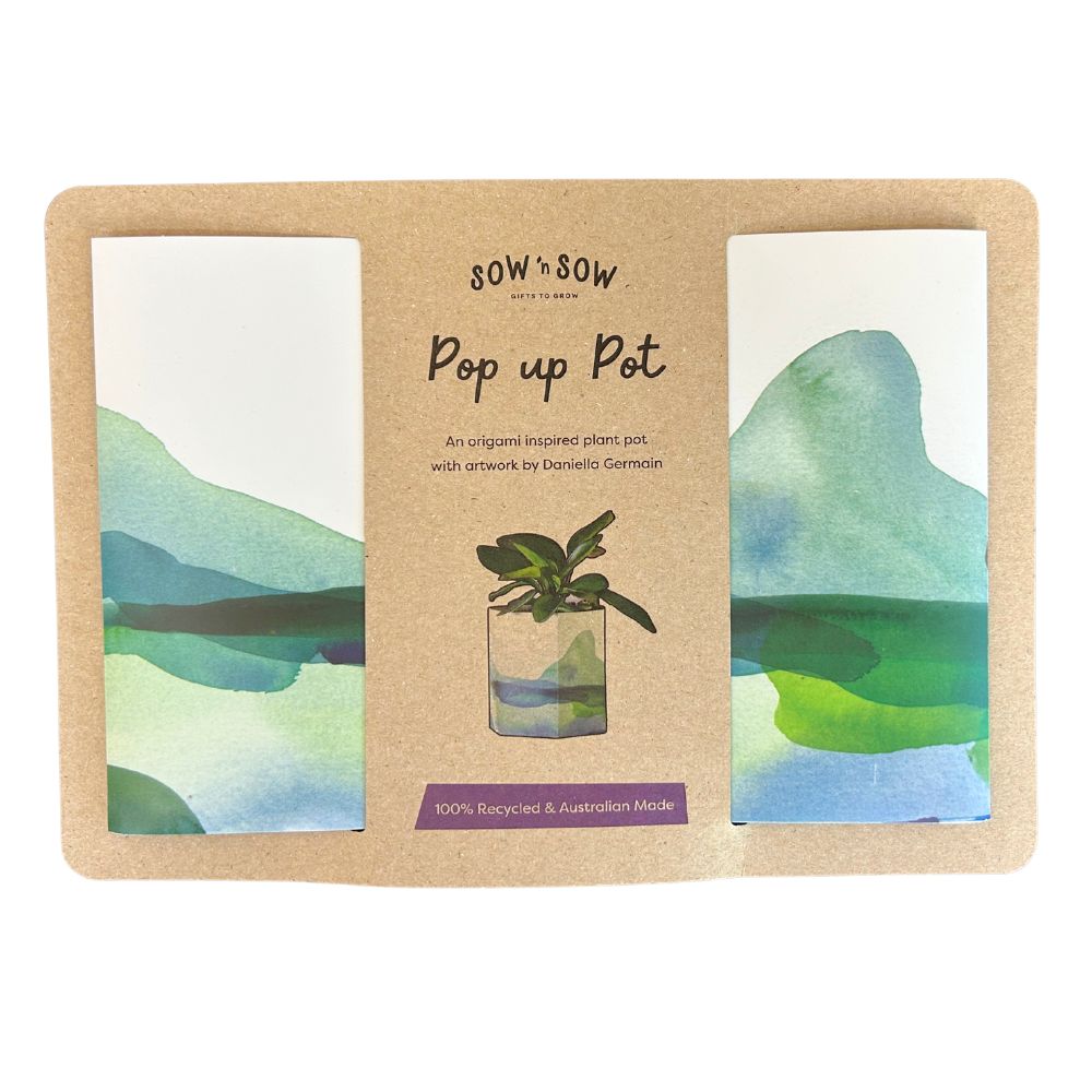 Pop Up Pot 'Mountain'