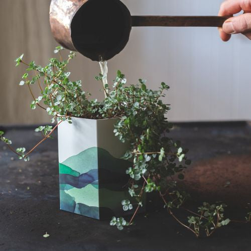 Mountain Pop Up Pots – Bulk Pack of 50
