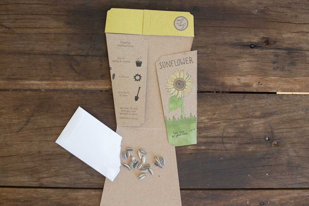 Sunflower Gift of Seeds image 3