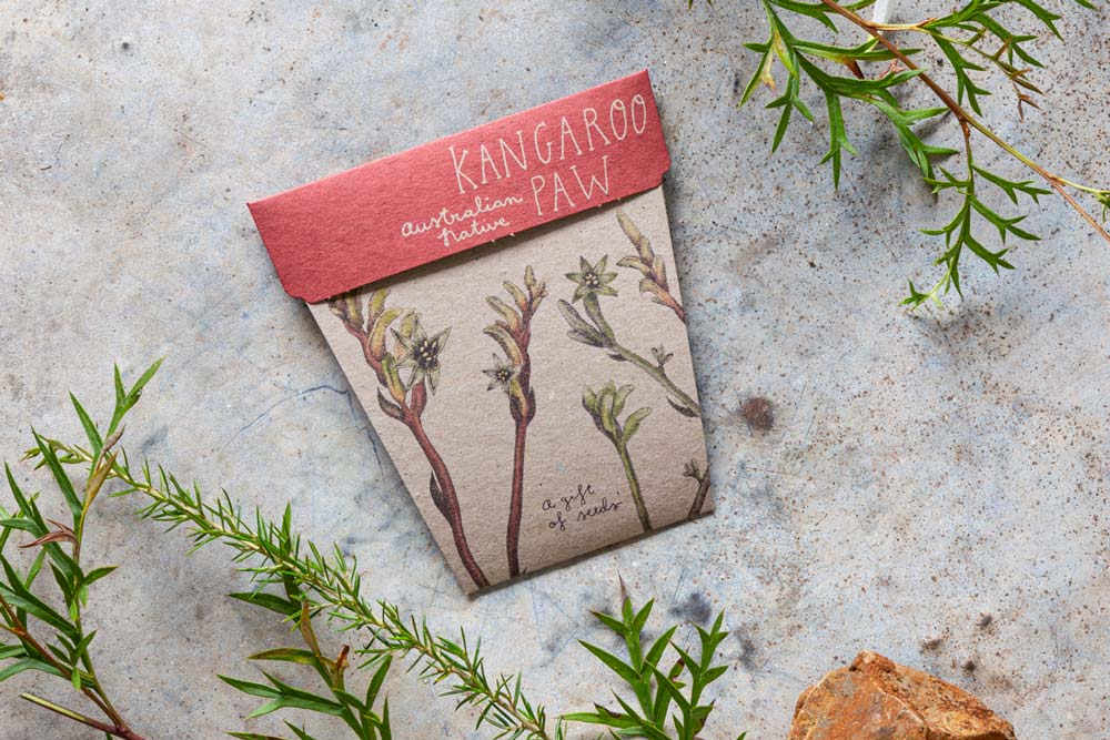 Kangaroo Paw Gift of Seeds image 3