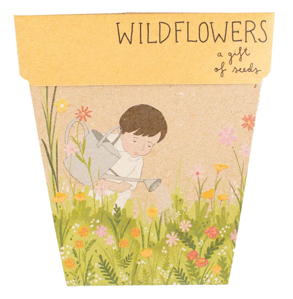 50 Gift of Seed Packs Bulk Buy image 8