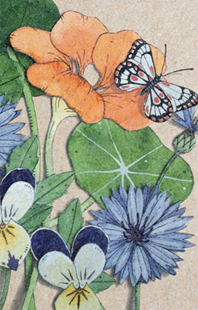 Culinary Flowers Gift Tag 10 Pack image 3