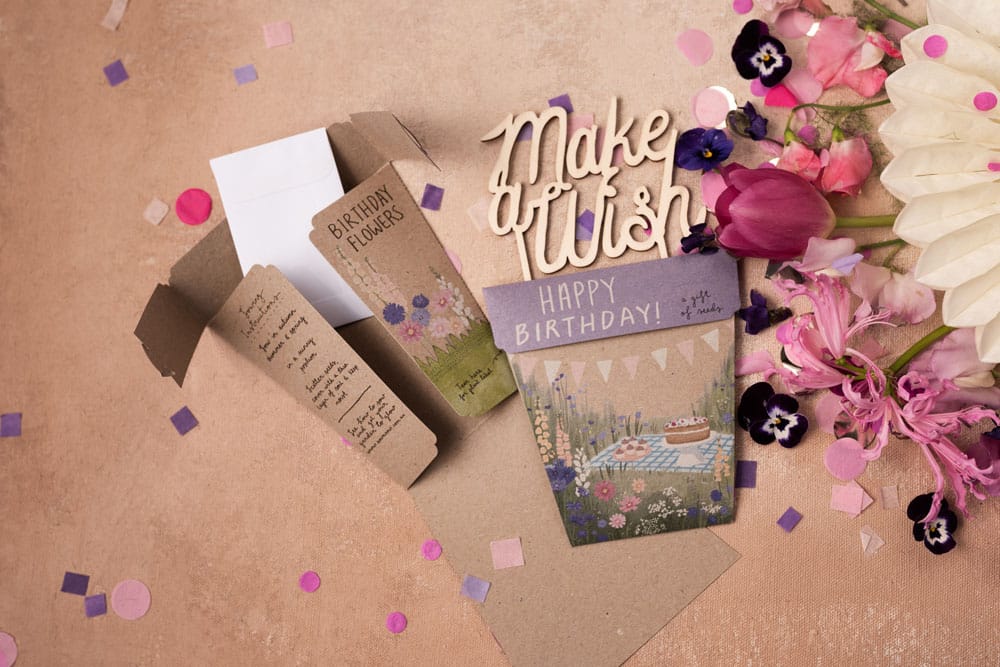 Happy Birthday Picnic Gift of Seeds image 3