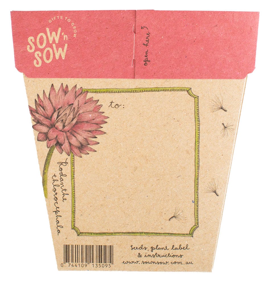 Australian Native Seed Gift Set image 10