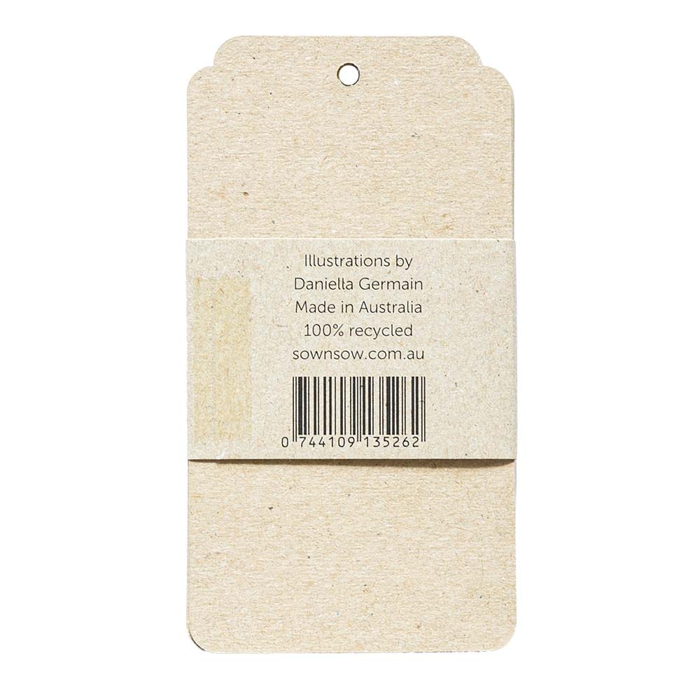 Echinacea Gift Tag 10 Pack image 4