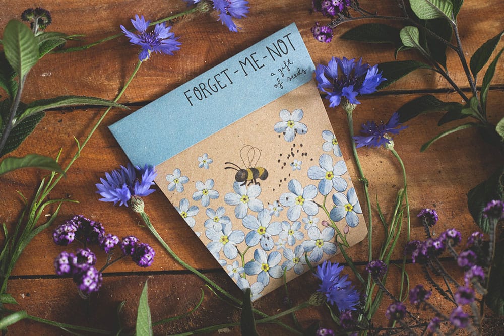 Forget-me-not Gift of Seeds image 2