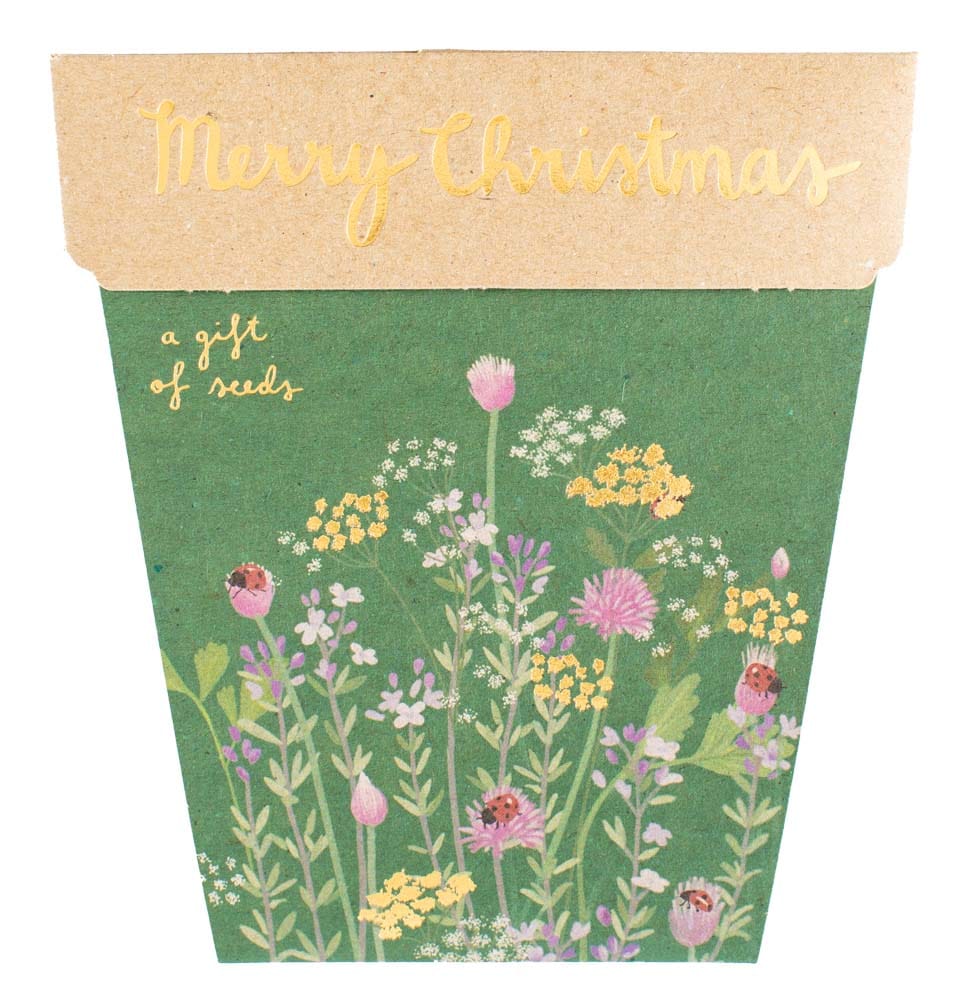 Christmas Gift of Seeds Bundle image 3