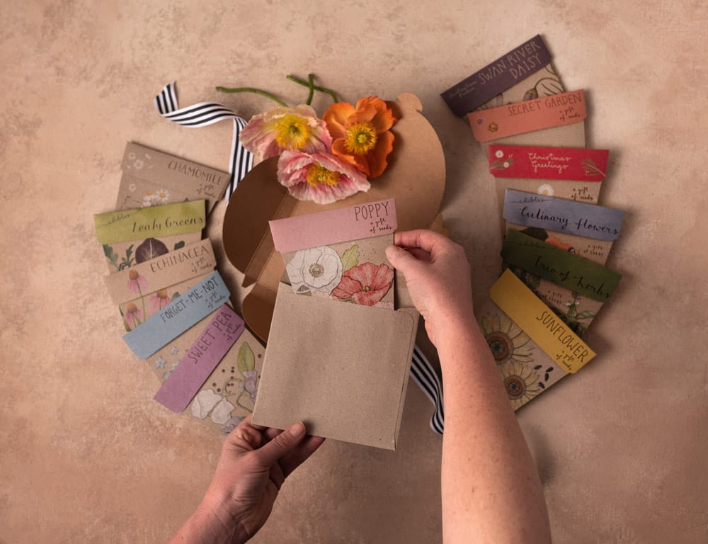 Gift of Seeds Flowers & Herbs Monthly Subscription image 1