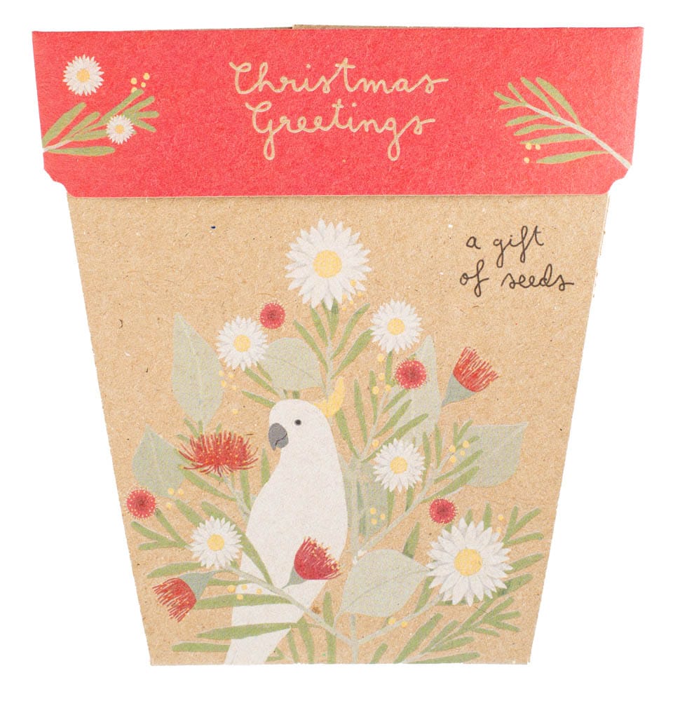 Australian Christmas Gift of Seeds Bulk Buy Pack of 50 image 1